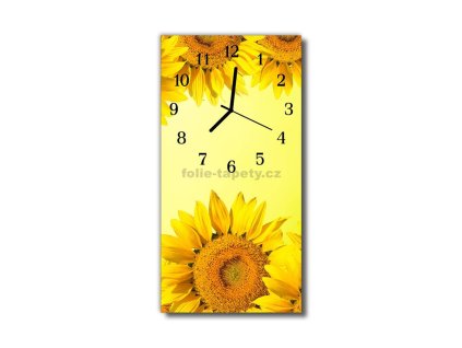 Nástěnné hodiny obrazové na skle - Slunečnice