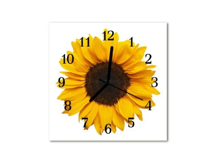 Nástěnné hodiny obrazové na skle - Slunečnice I
