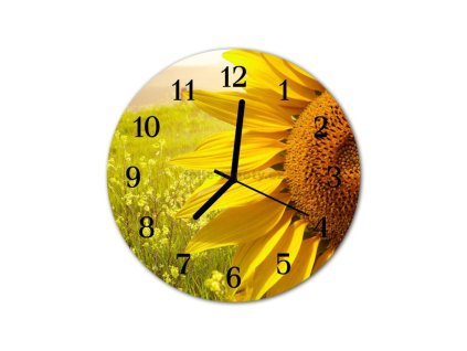 Nástěnné hodiny obrazové na skle - Slunečnice II
