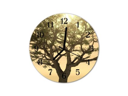 Nástěnné hodiny obrazové na skle - Strom I
