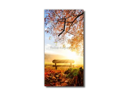 Nástěnné hodiny obrazové na skle - Strom s lavičkou