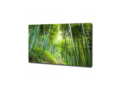 46839 obraz na platne cesta lesem 100 x 70 cm