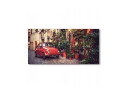 46911 obraz na platne cerveny brouk 140 x 70 cm