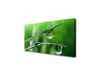 46623 obraz na platne kapky rosy 120 x 60 cm