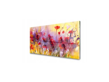 46704 obraz na platne kreslene maky 120 x 60 cm