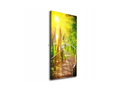 46803 obraz na platne most v lese 50 x 125 cm
