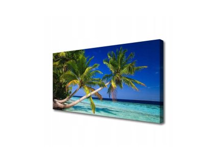 46878 obraz na platne palmy 140 x 70 cm