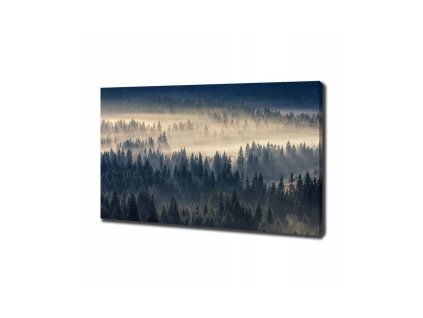 46938 obraz na platne temny les 100 x 70 cm