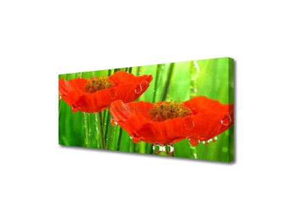 46893 obraz na platne vlci maky 125 x 50 cm