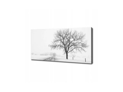 46842 obraz na platne zasnezena krajina 120 x 60 cm