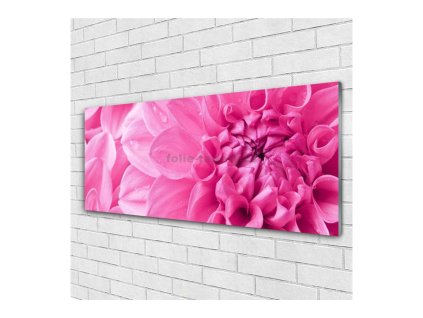 41562 obraz na skle astra 120 x 60 cm