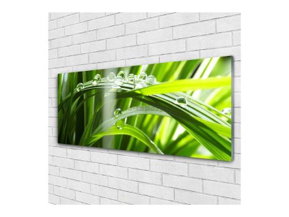 41607 obraz na skle kapky na trave 125 x 50 cm