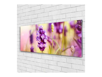 41685 obraz na skle levandule 140 x 70 cm