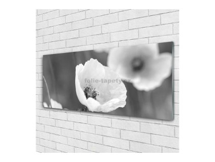 41649 obraz na skle mak bily 140 x 70 cm