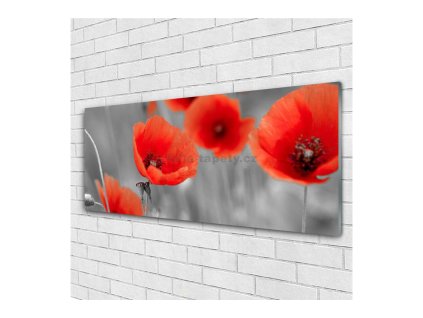 41628 obraz na skle mak cerveny 100 x 50 cm