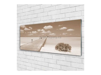 41502 obraz na skle most 120 x 60 cm