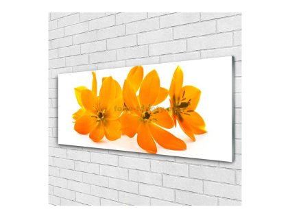 41514 obraz na skle oranzove kvety 125 x 50 cm