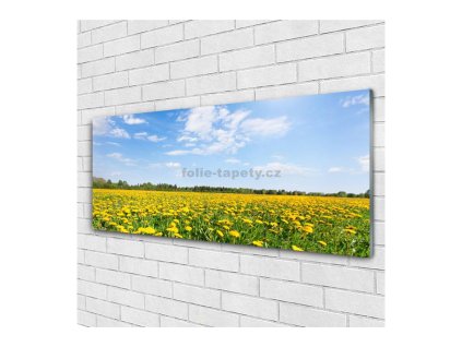 41523 obraz na skle pampeliskove pole 125 x 50 cm
