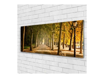 41733 obraz na skle park 125 x 50 cm