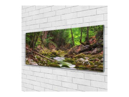41697 obraz na skle potok v lese 140 x 70 cm