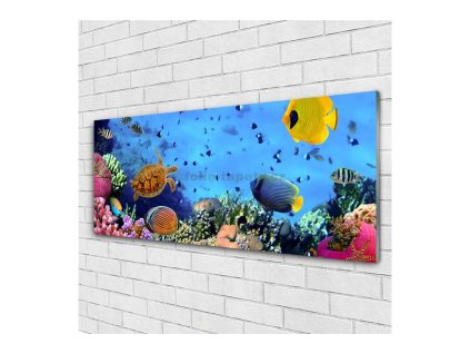41661 obraz na skle ryby 140 x 70 cm
