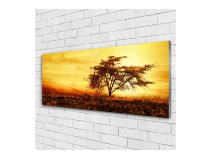 41544 obraz na skle strom 140 x 70 cm