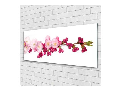 41553 obraz na skle vetev 140 x 70 cm