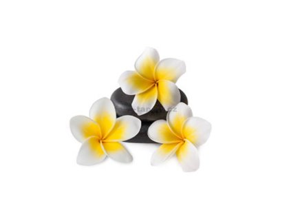 41214 samolepici dekorace na kachlicky plumeria 15 x 15 cm