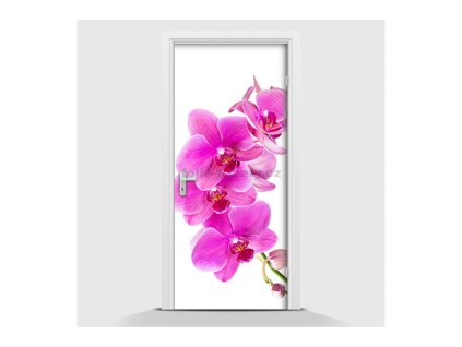 38172 samolepici fototapeta orchidej ruzova 95 x 210cm