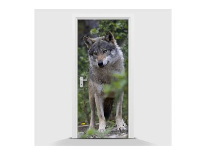 31779 samolepici fototapeta vlk v lese 70 x 210cm