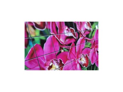 43827 wall art decor pvc obkladove 3d panely kvet lilie