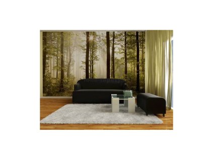 39225 fototapeta ctyrdilna les i