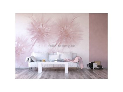 37437 fototapeta ctyrdilna odkvetle pampelisky