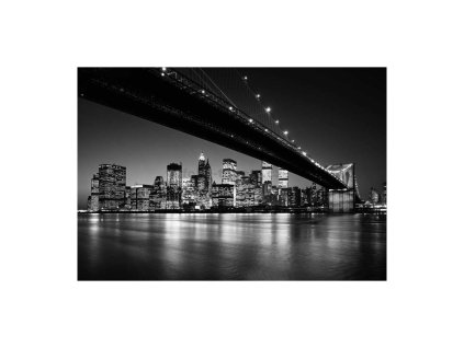 39198 fototapeta osmidilna manhattan skyline