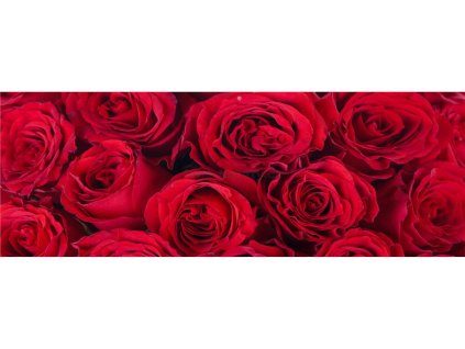 37809 fototapeta samolepici do kuchyne ruze rude