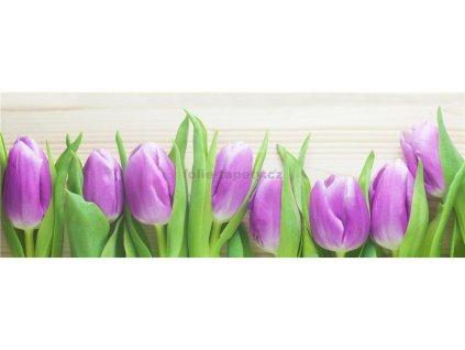 38076 fototapeta samolepici do kuchyne tulipany fialove