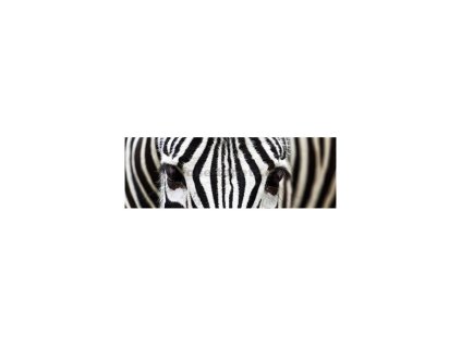 34617 fototapeta samolepici do kuchyne zebra