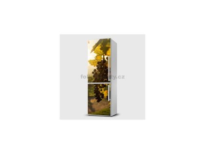 36408 fototapeta samolepici na lednice hroznove vino