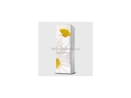 35733 fototapeta samolepici na lednice kopretinky