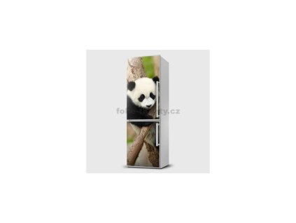 36435 fototapeta samolepici na lednice panda