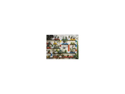 37452 fototapeta vliesova ctyrdilna kytky v kvetinacich