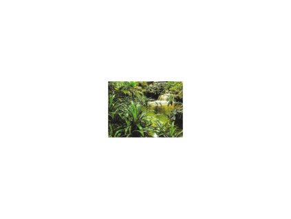 37455 fototapeta vliesova ctyrdilna laguna