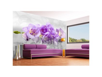 33930 fototapeta vliesova ctyrdilna orchidej