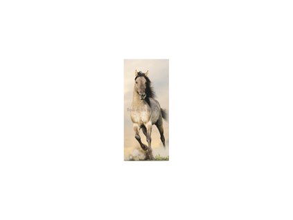 37482 fototapeta vliesova jednodilna kone