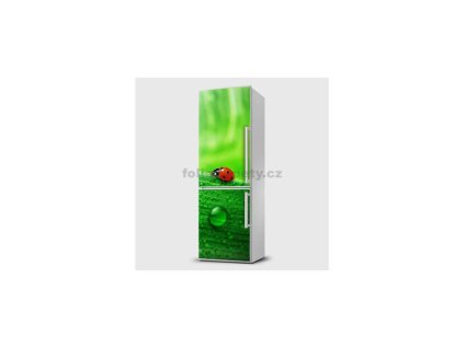 40404 magneticka folie beruska