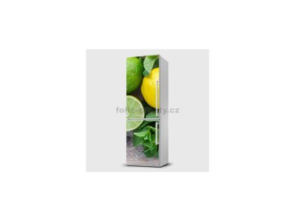 41151 magneticka folie citrusy