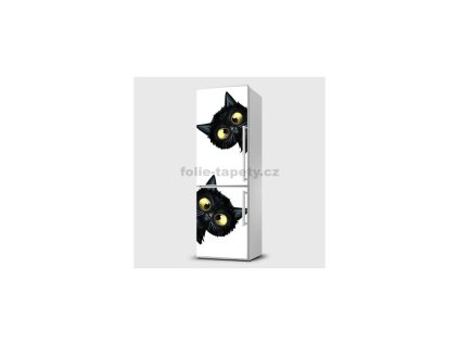 40680 magneticka folie ciciny