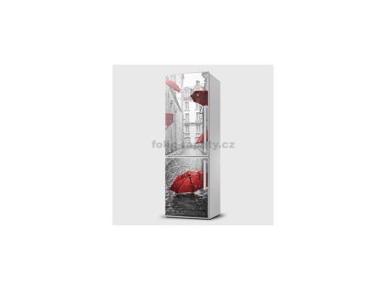 40470 magneticka folie destniky