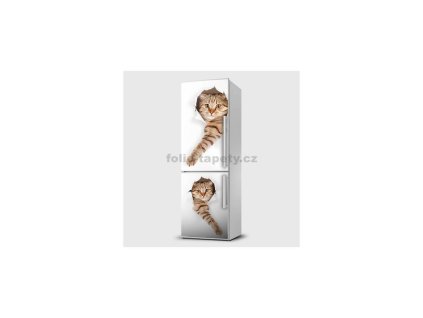 40893 magneticka folie kocky