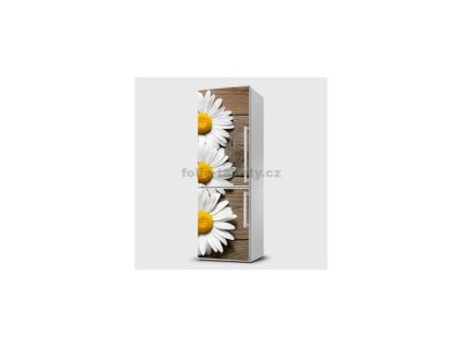 41166 magneticka folie kopretiny